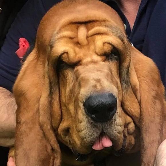 Meet your Posher, Brendan - Picture 1 of 1